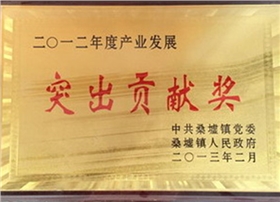 雙馬-突出貢獻獎