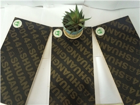 IMG_1388.JPG IMG_1388.JPG