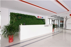 DSC_0081_conew1.jpg DSC_0081_conew1.jpg