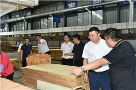 DSC_6421_副本.jpg DSC_6421_副本.jpg