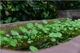 DSC_8022_副本.jpg DSC_8022_副本.jpg