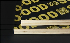 覆膜模板—墻板專(zhuān)用