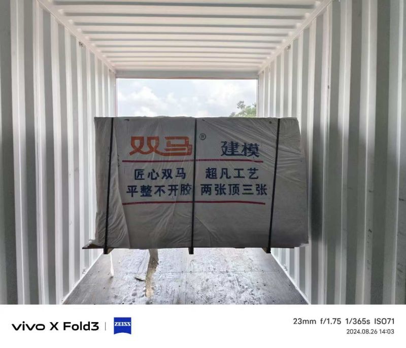 微信圖片_20240827163558.jpg 微信圖片_20240827163558.jpg