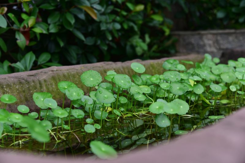 DSC_8022_副本.jpg DSC_8022_副本.jpg