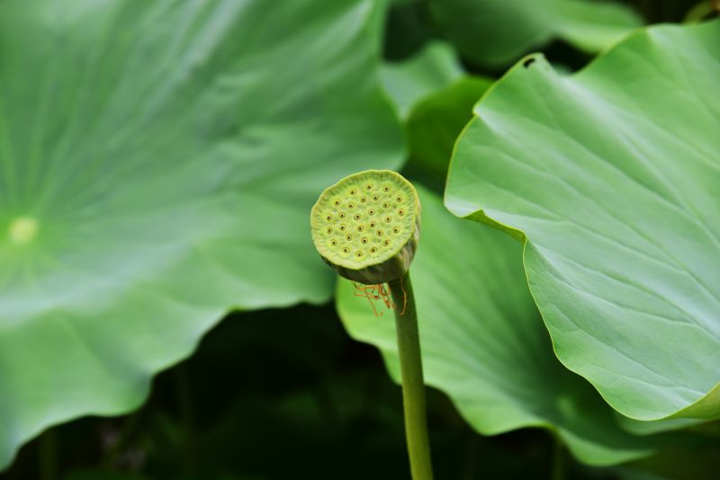 DSC_8058_副本.jpg DSC_8058_副本.jpg