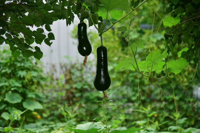 DSC_8063_副本.jpg DSC_8063_副本.jpg