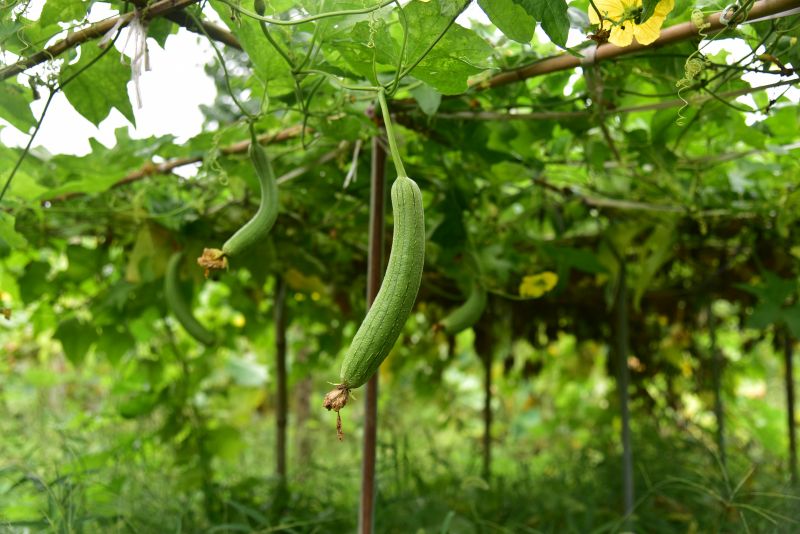 DSC_8065_副本.jpg DSC_8065_副本.jpg