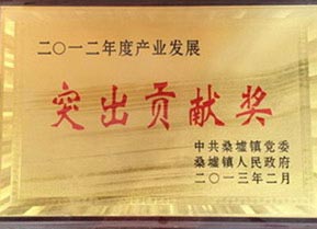 雙馬-突出貢獻(xiàn)獎(jiǎng)